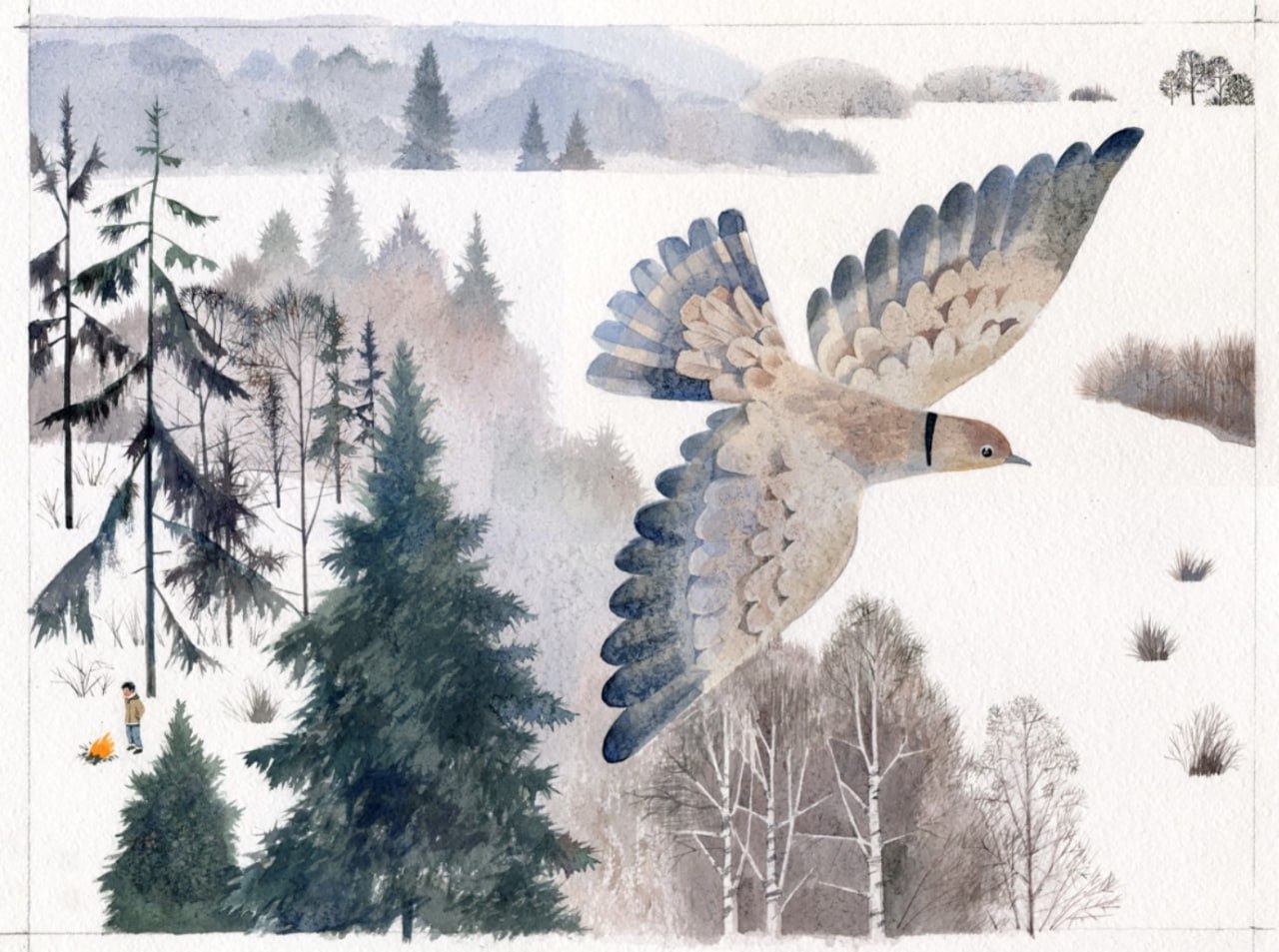 Главное изображение